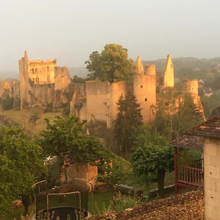 Chez Fred Avec Vue Sur Le Chateau Angles-sur-lʼAnglin Exterior foto
