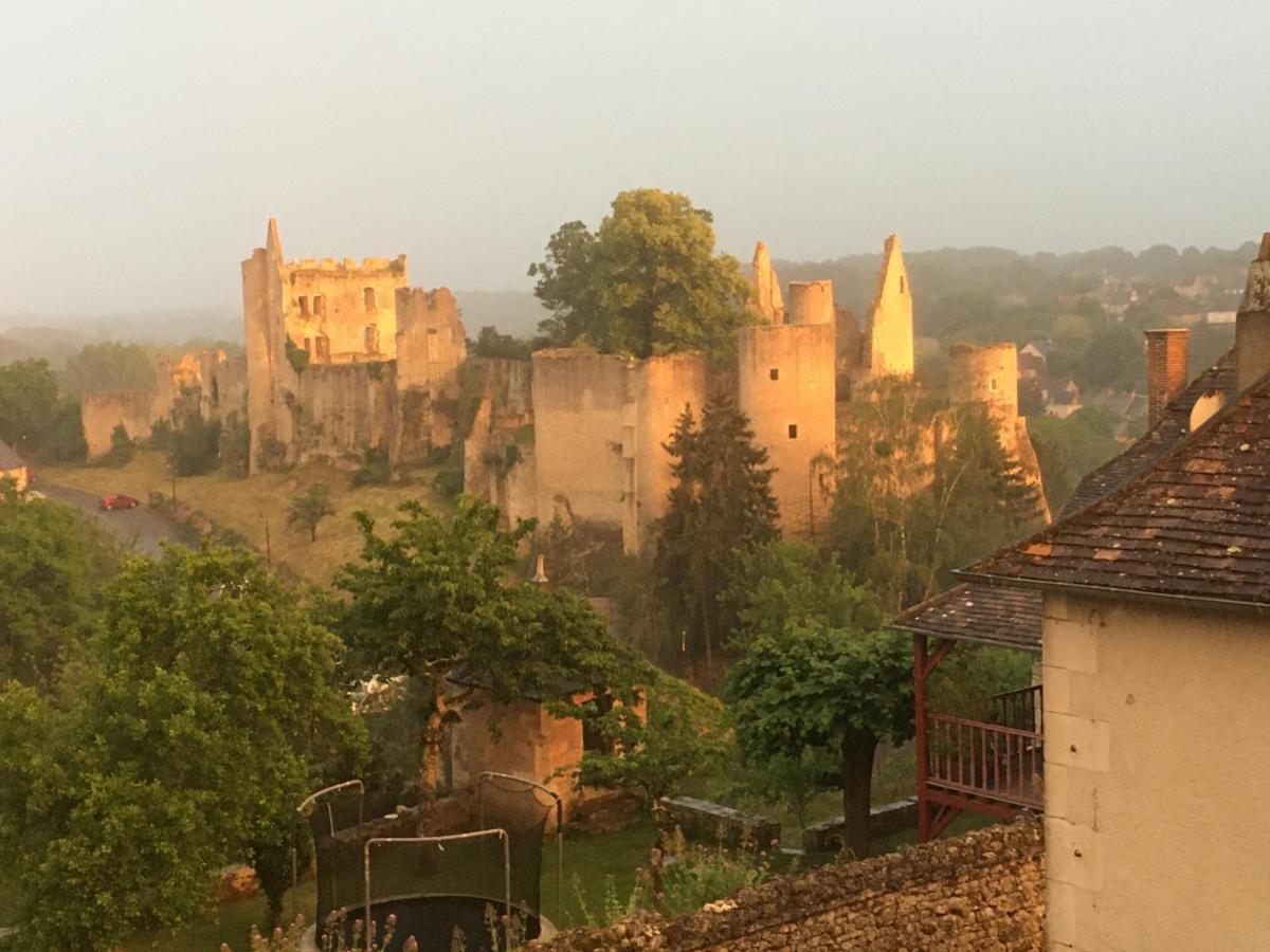 Chez Fred Avec Vue Sur Le Chateau Angles-sur-lʼAnglin Exterior foto