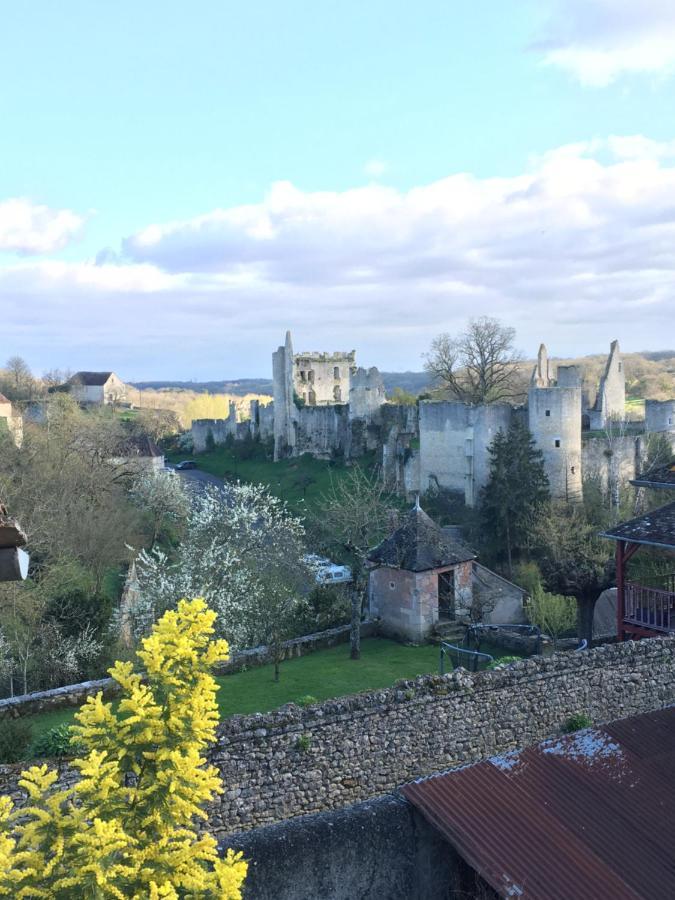 Chez Fred Avec Vue Sur Le Chateau Angles-sur-lʼAnglin Exterior foto